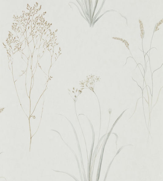 Farne Grasses Wallpaper by Sanderson Silver/Ivory