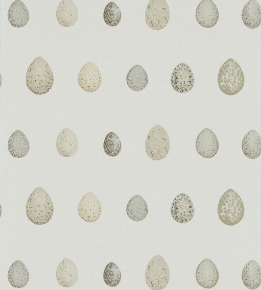 Nest Egg Wallpaper by Sanderson Almond Stone