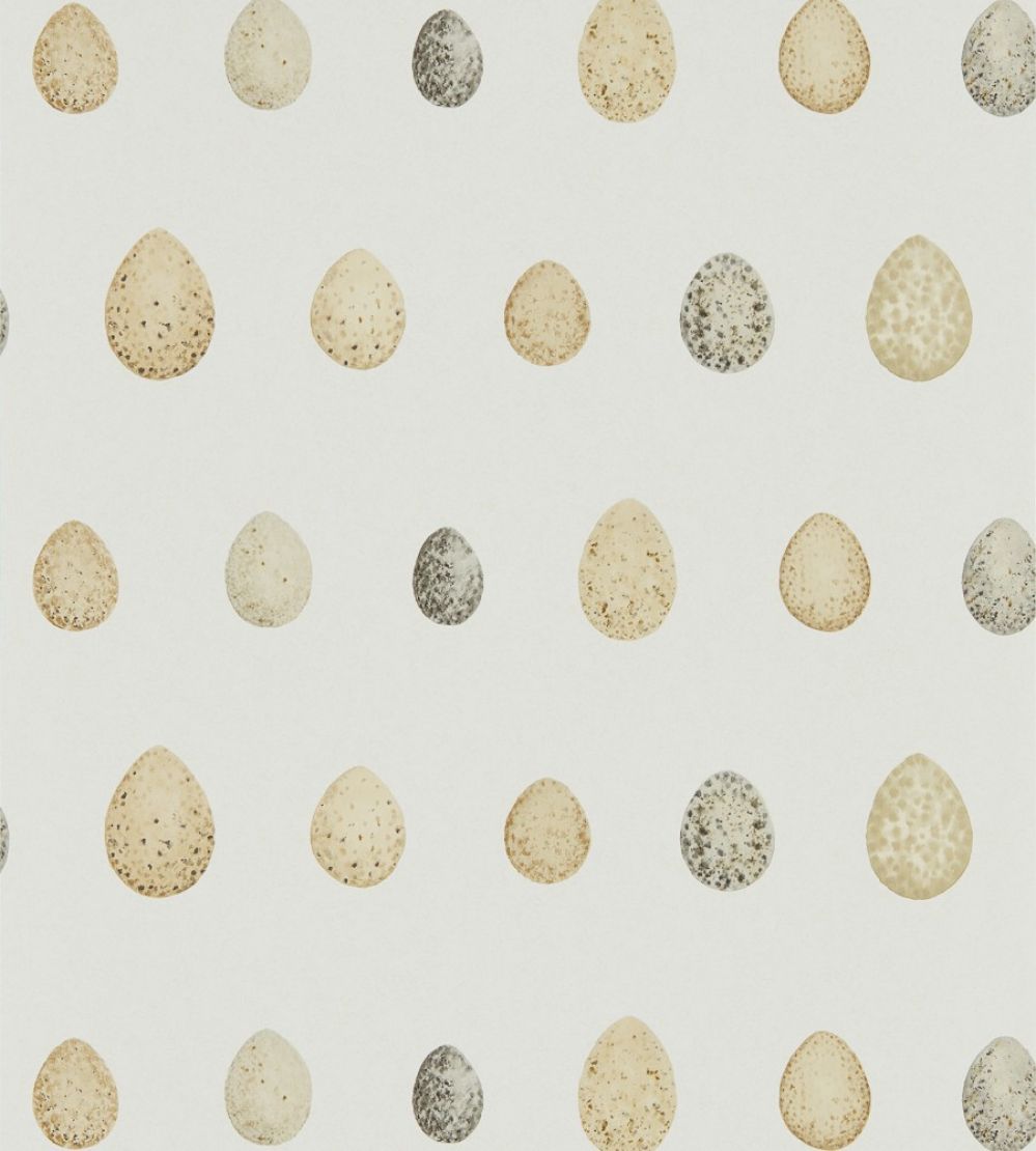 Nest Egg Wallpaper by Sanderson Corn Graphite