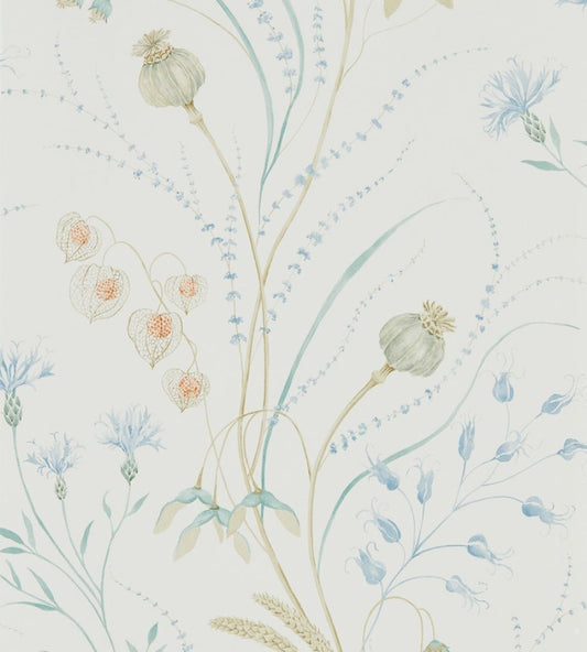 Summer Harvest Wallpaper by Sanderson Cornflower/Wheat