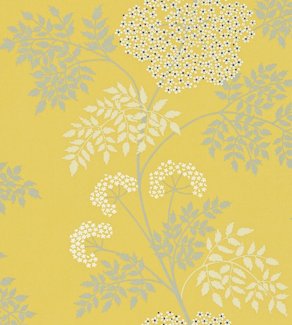 Cowparsley Wallpaper by Sanderson Chinese Yellow