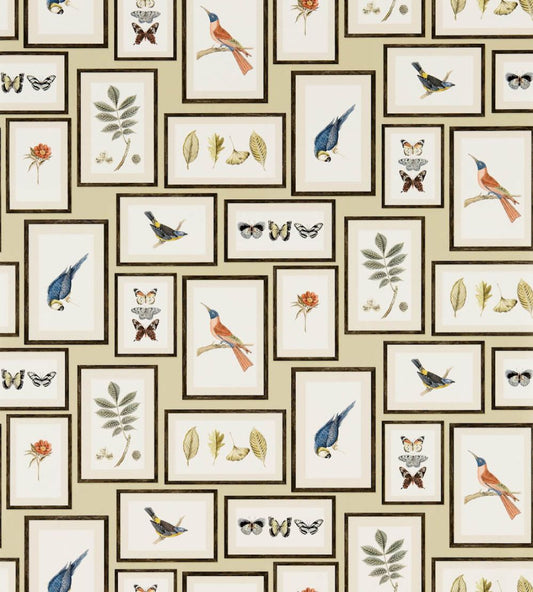Picture Gallery Wallpaper by Sanderson Sand/Multi
