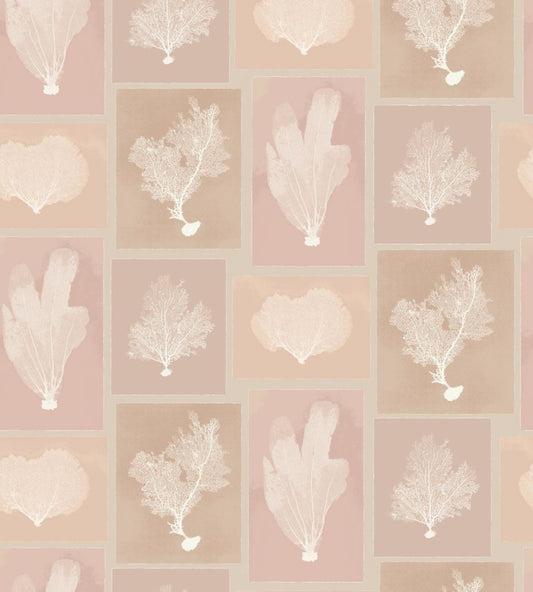 Sea Fans Wallpaper by DADO 02 Blush