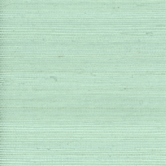 TRH51005 Wallpaper
