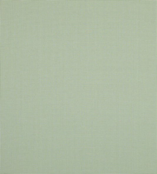 Sherborne Gingham Fabric by Baker Lifestyle Green