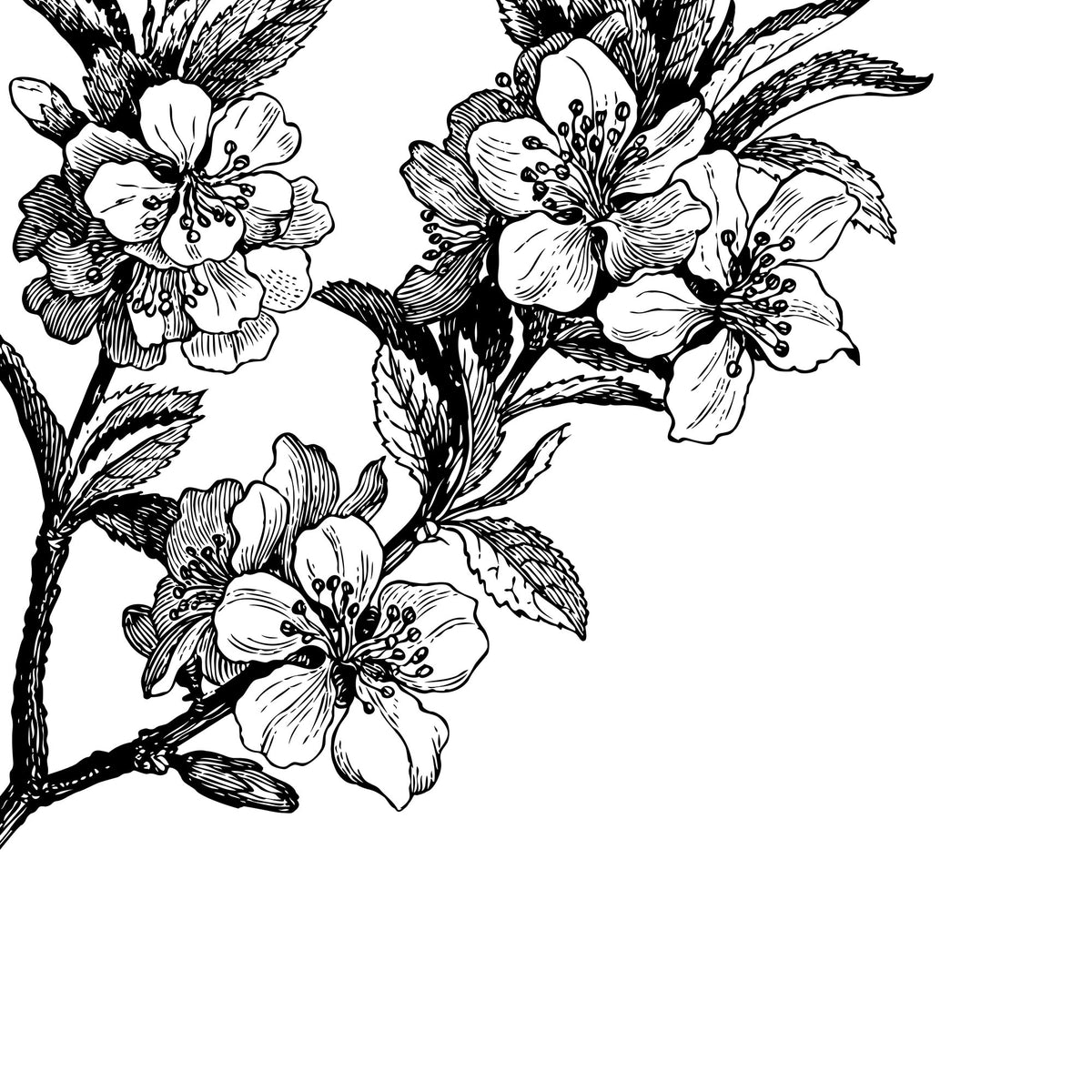 Springtime Black&white mural by Rebel Walls