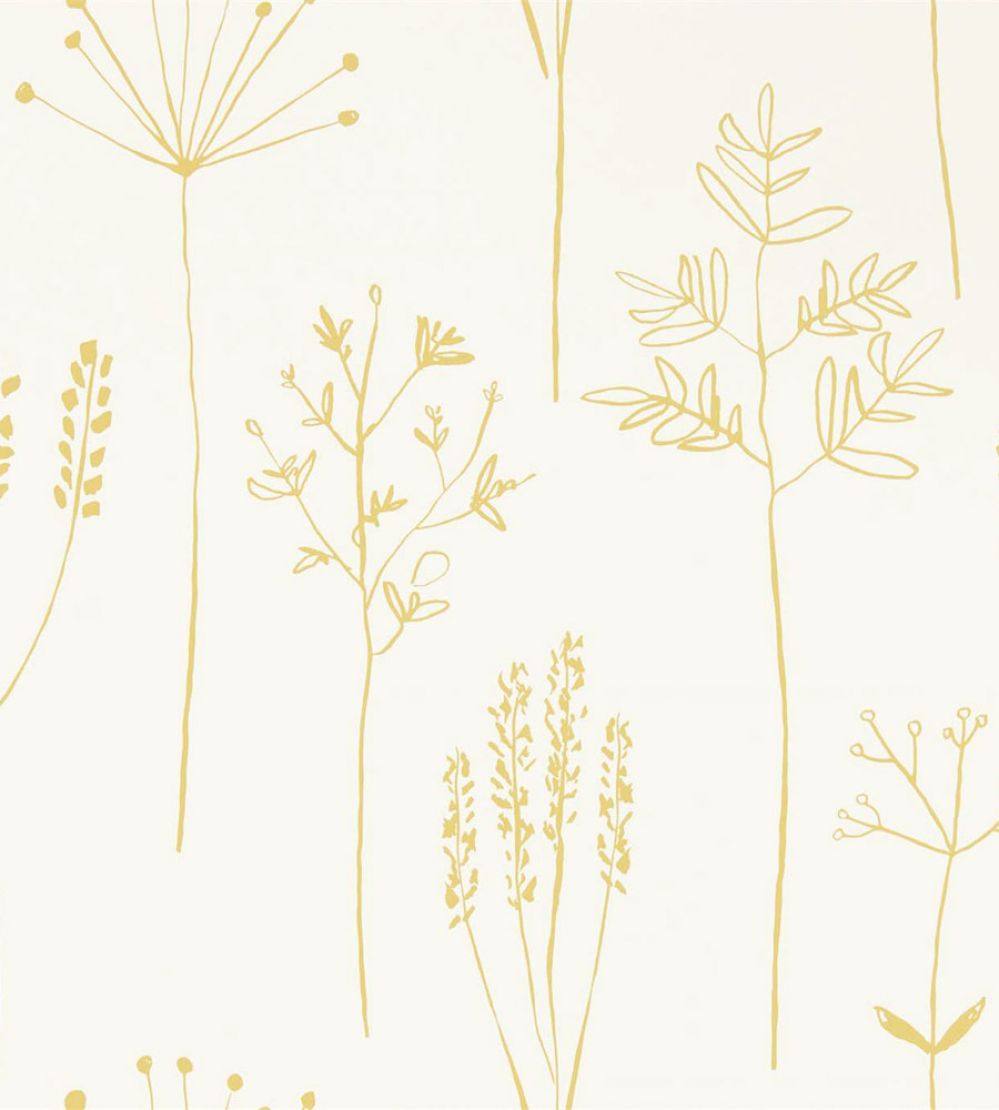Stipa Wallpaper by Scion Honey
