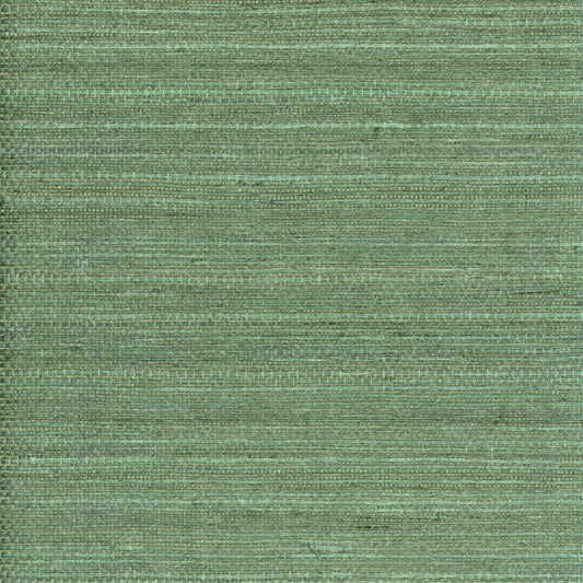 TRH51000 Wallpaper