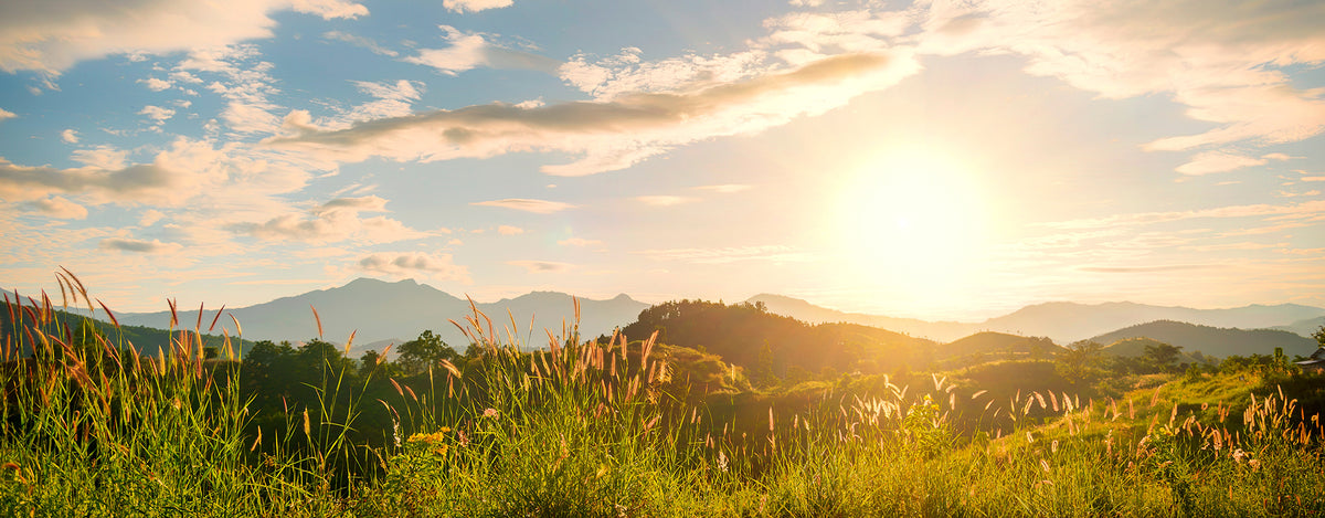 Sunrise Hills Soft mural by Rebel Walls