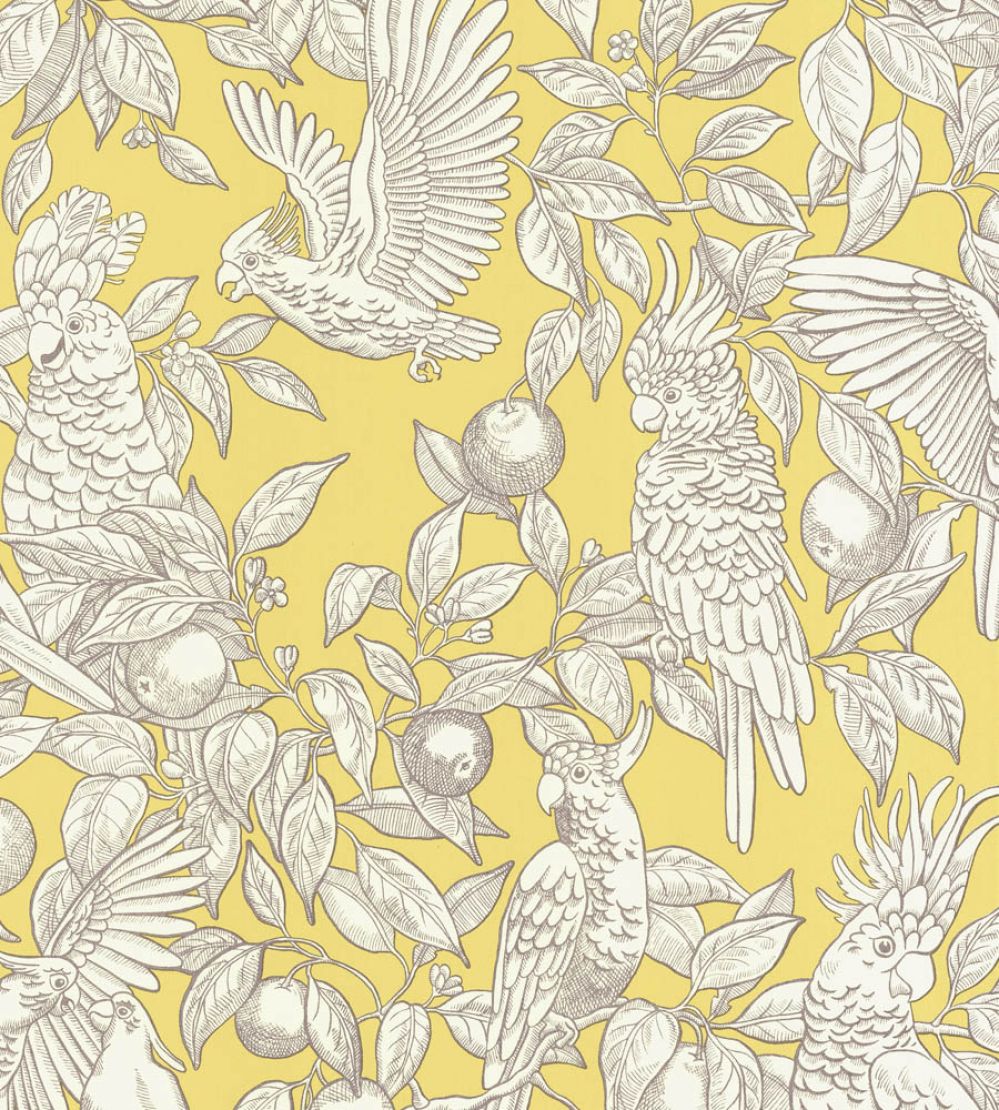 Talk About Cockatoos Wallpaper by Langelid Von Bromssen Lemon