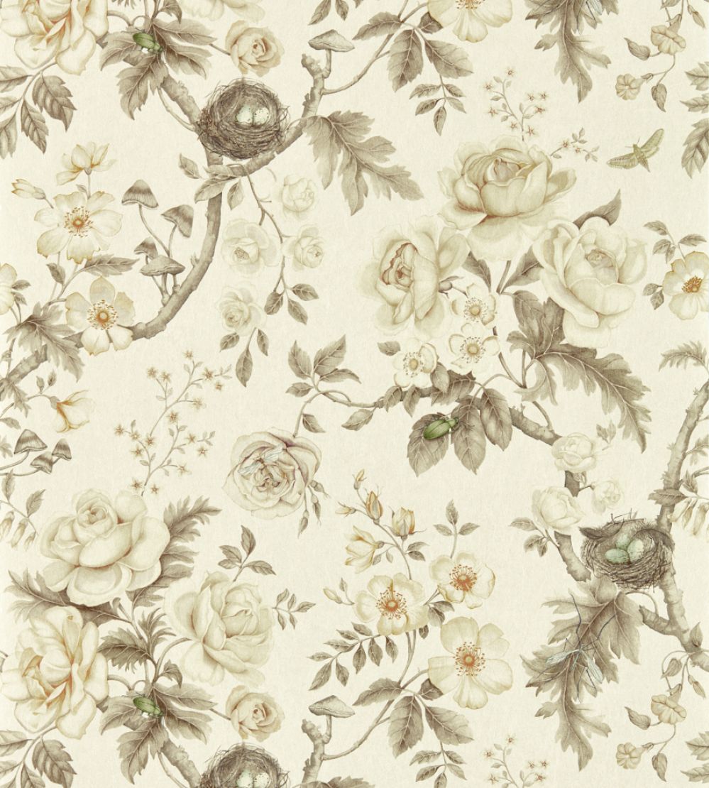 Tansy Bloom Wallpaper by Sanderson Oyster