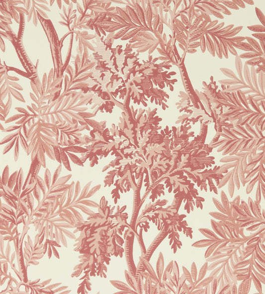 Tapestry Trees Wallpaper by Sanderson Berry/Pink Clay