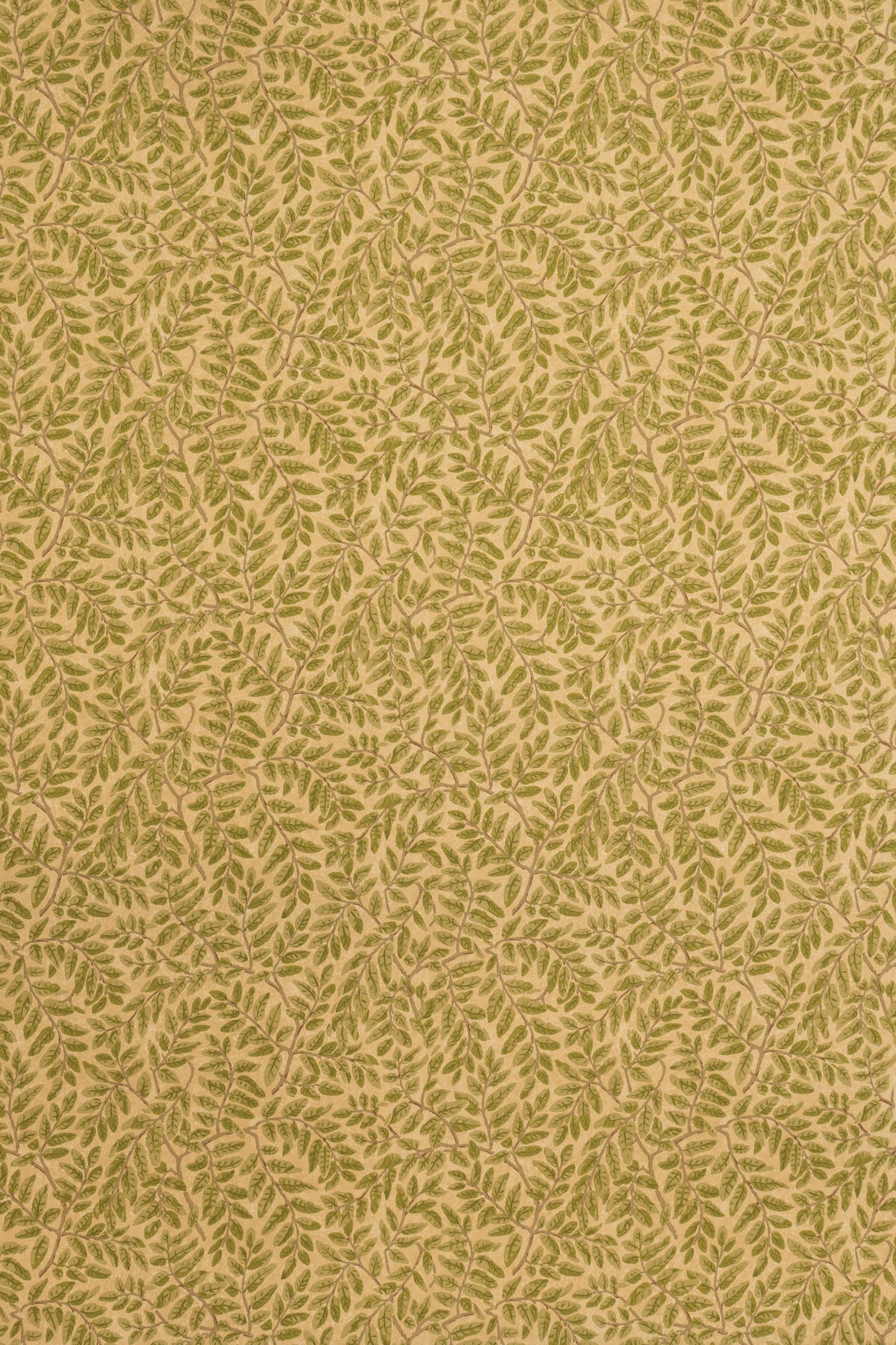 Tara Wallpaper by Jean Monro in Document