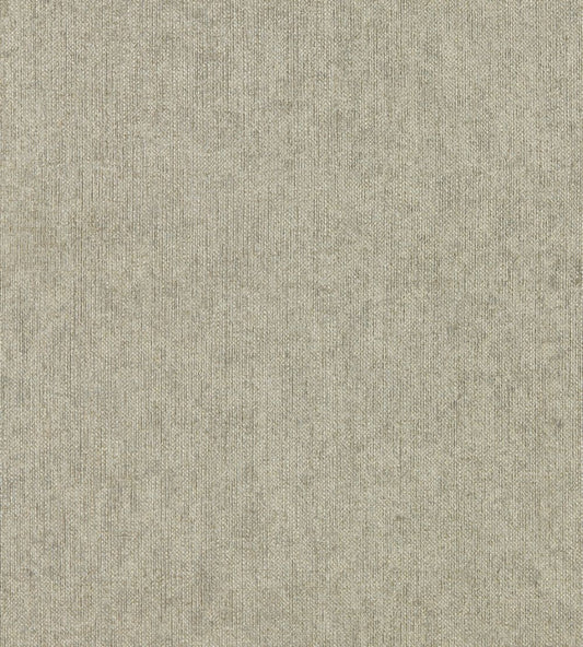 Texo Wallpaper by Clarke & Clarke Pebble