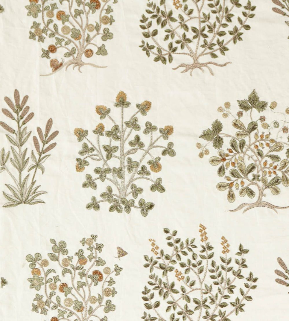 Thyme Walk Fabric by Sanderson Lichen/Gooseberry
