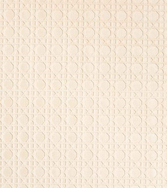 Cannage Velvet Outdoor Fabric by Casa Lopez in Beige