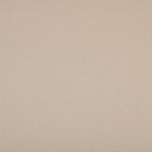 TRH5880 Wide-Width Solid Outdoor Canvas swatch, colorway TRH5880.B (neutral)