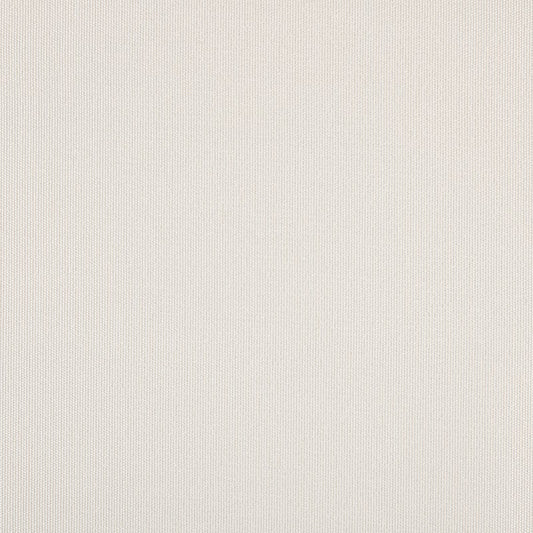 TRH5882 Solid Outdoor Acrylic Canvas 54-Inch swatch, colorway TRH5882.B (neutral)