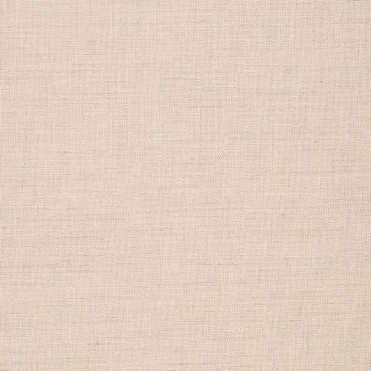 TRH5883 Tonal Solid Outdoor Canvas swatch, colorway TRH5883.A (neutral)