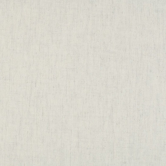 TRH5886 Recycled-Content Solid Outdoor Canvas swatch, colorway TRH5886.B (white)