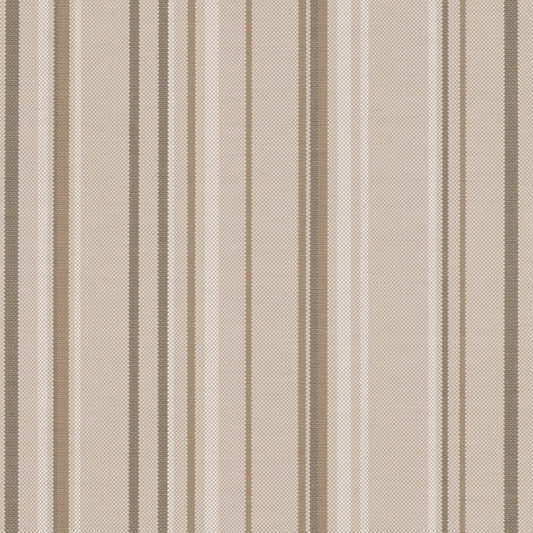 TRH5894 Bold Outdoor Stripe swatch, colorway TRH5894.B (neutral)