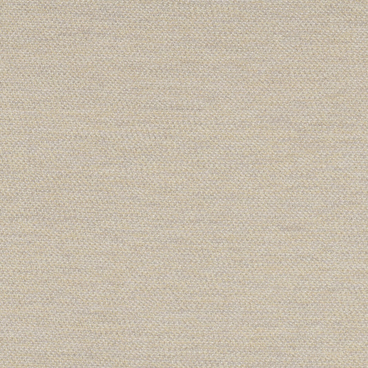 TRH5897 Tonal Stripe Weave Outdoor Fabric swatch, colorway TRH5897.B (neutral)