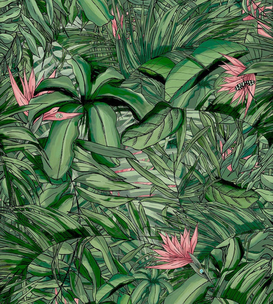Tropical Forest Wallpaper by Brand McKenzie Dark Green / Pink