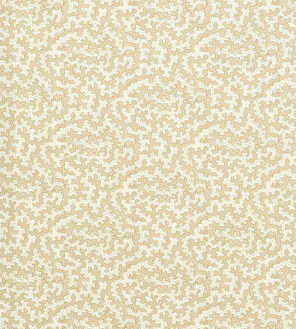 Truffle Outdoor Fabric by Sanderson Sand Dollar