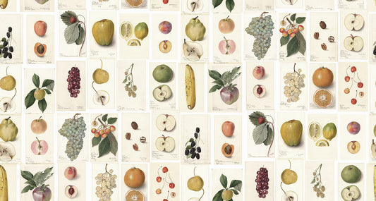 Tutti Frutti Vintage mural by Bien Fait