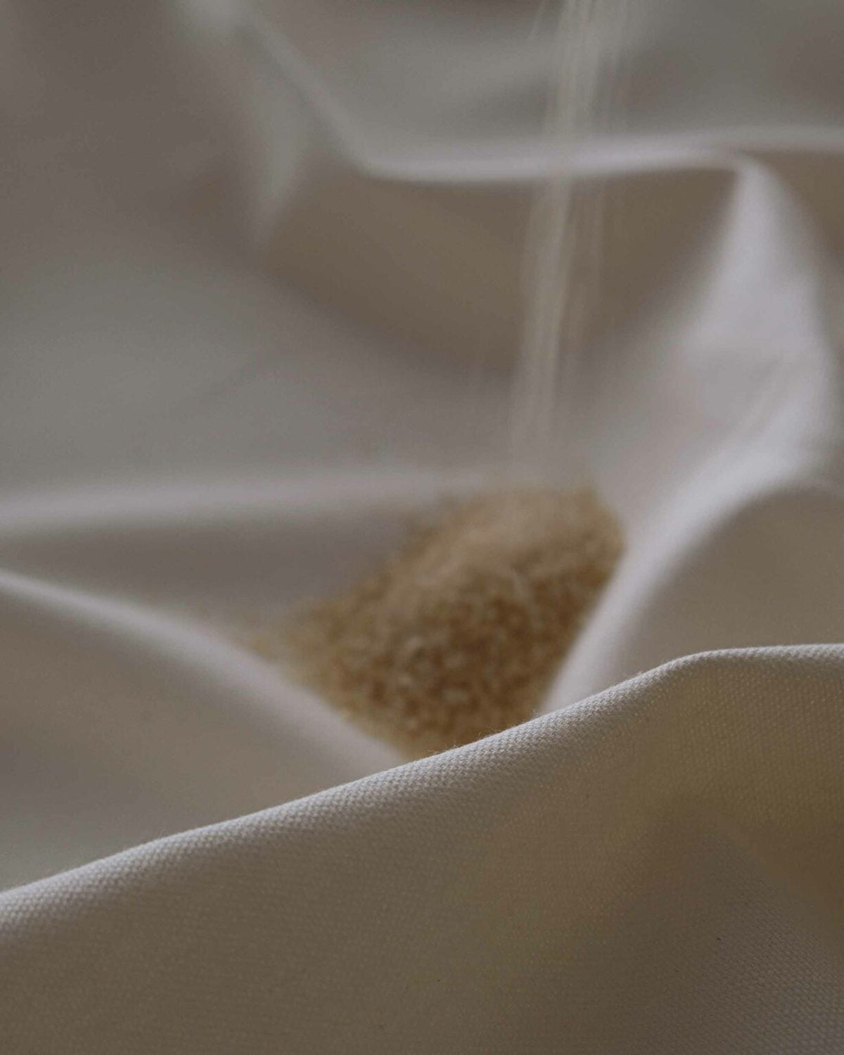 Vanilla 530 fabric by Coordonné in No. TCOTVAN, shown in a styled room