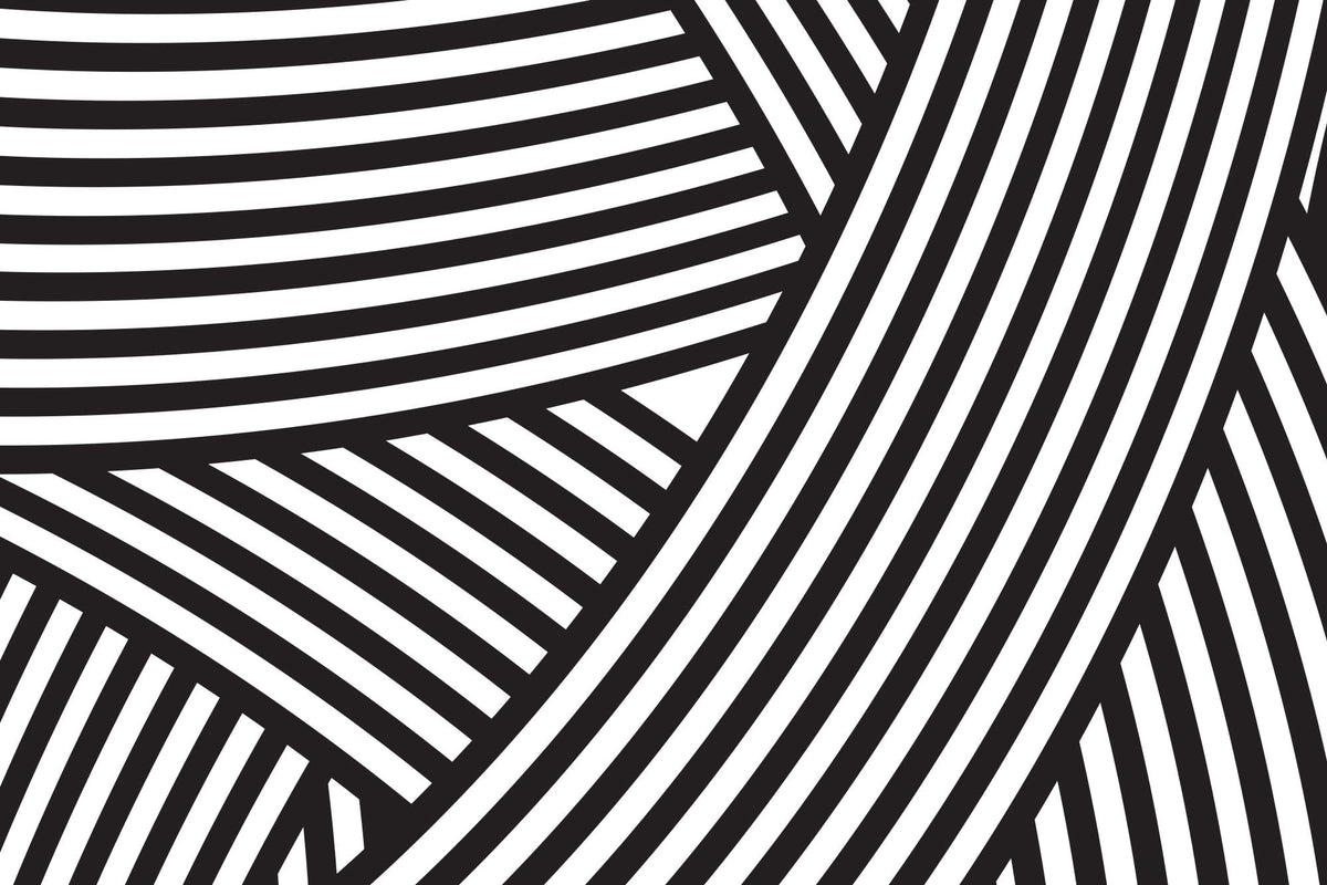 Walmer Black & White mural by Hovia