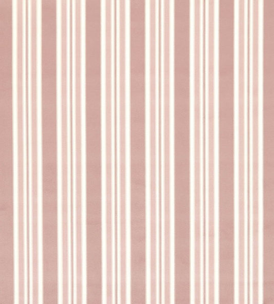Wilmott Fabric by Clarke & Clarke Blush