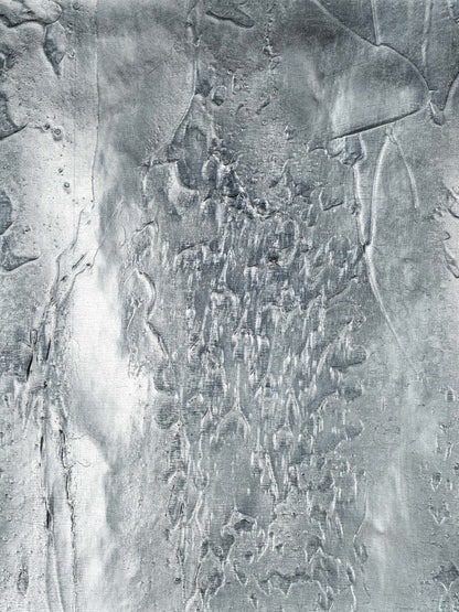 Rustic Metallic Wallpaper by Holland & Sherry in Silver Dollar