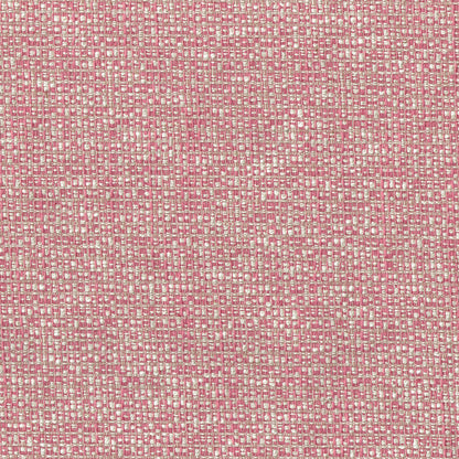 Poole Fabric by Titley & Marr in Rose