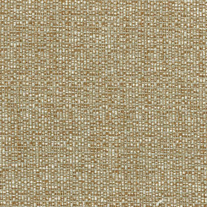 Poole Fabric by Titley & Marr in Ginger