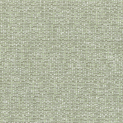 Poole Fabric by Titley & Marr in Fennel