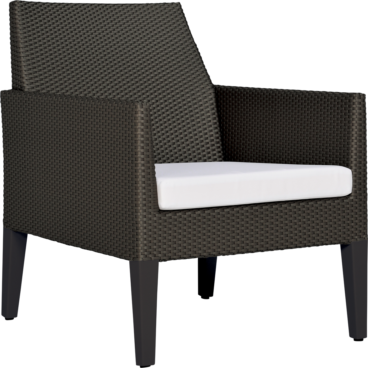 Cortino Lounge Chair by JANUS et Cie in Bronze