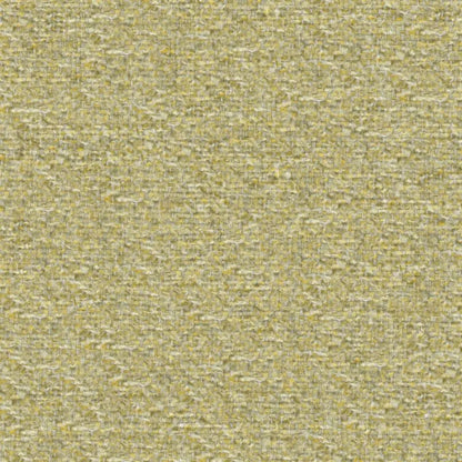 Ingleton Fabric by Designers Guild in Acacia