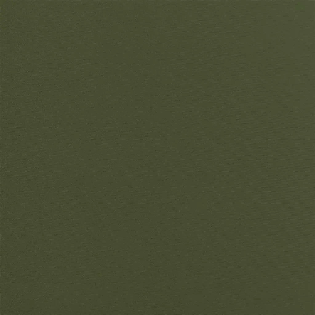 Cameri Fabric by Designers Guild in Moss