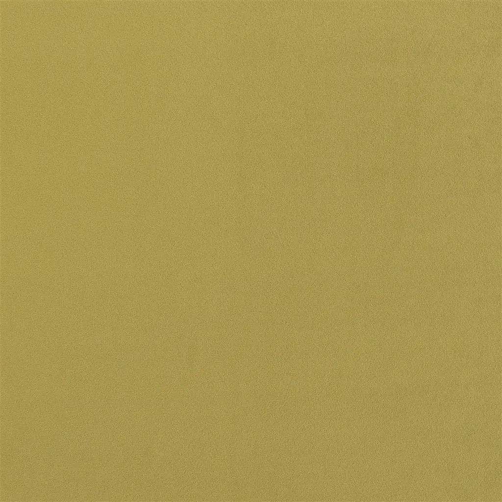 Cameri Fabric by Designers Guild in Alchemilla