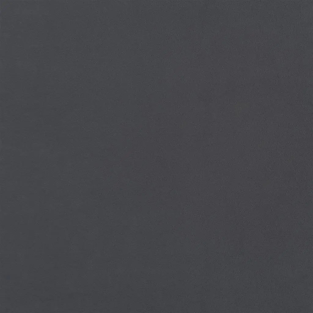Cameri Fabric by Designers Guild in Graphite