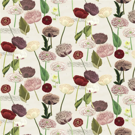 Poppy Study Fabric by John Derian in Violet