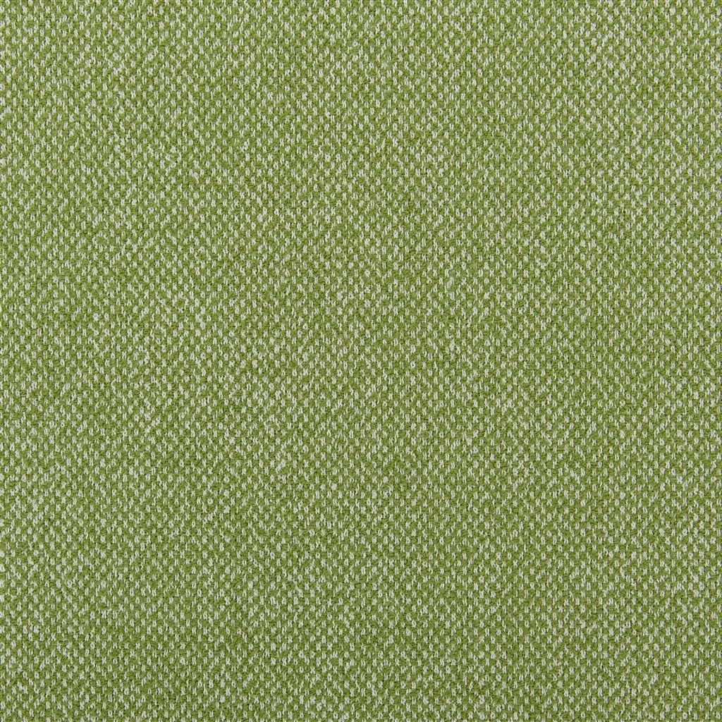 Torrington Fabric by Designers Guild in Grass