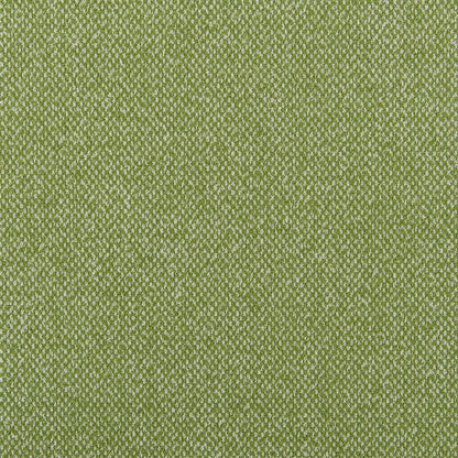 Torrington Fabric by Designers Guild in Grass