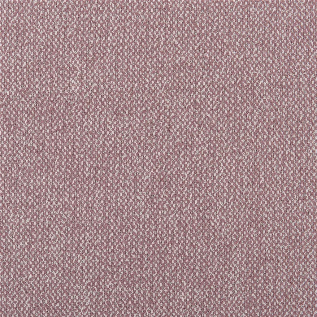 Torrington Fabric by Designers Guild in Tuberose