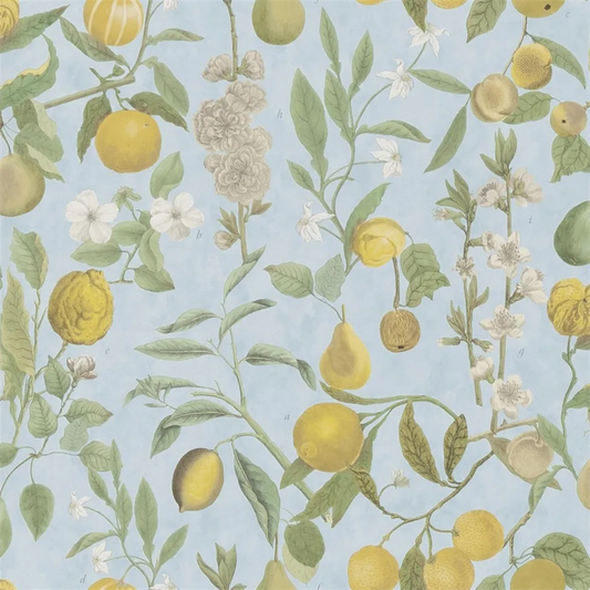 Orchard Fruits Wallpaper by John Derian in Sky Blue