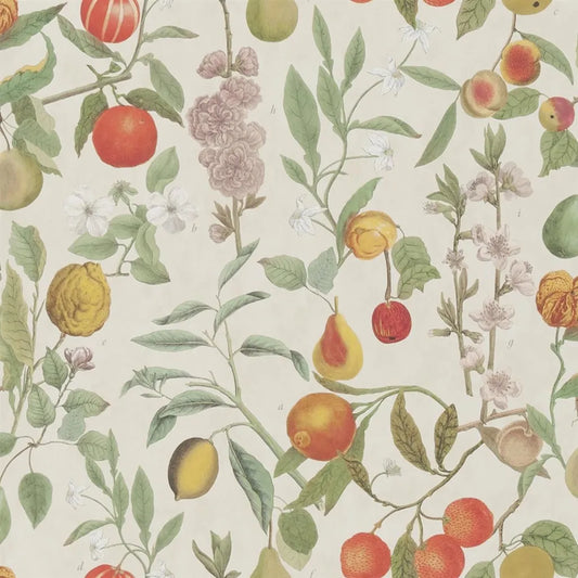 Orchard Fruits Wallpaper by John Derian in Parchment