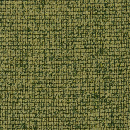 Montague Fabric by Designers Guild in Grass
