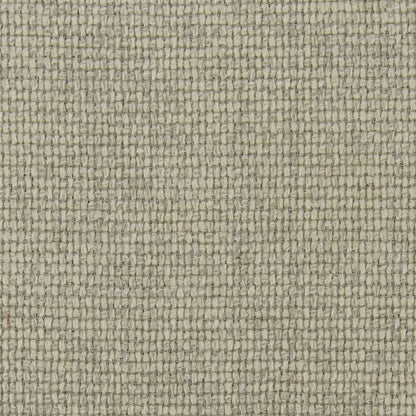 Montague Fabric by Designers Guild in Ecru