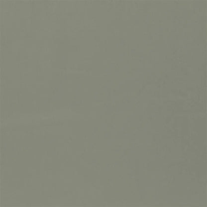 Mezzola Moda Fabric by Designers Guild in Dove